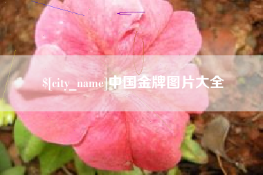 赤峰中国金牌图片大全