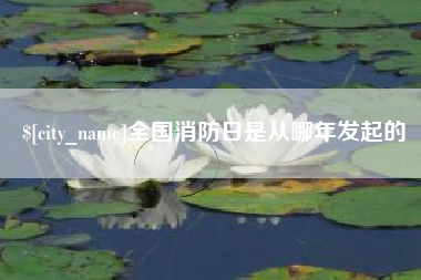 赤峰全国消防日是从哪年发起的