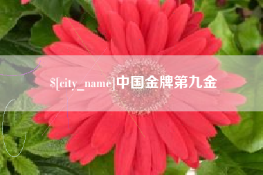 赤峰中国金牌第九金