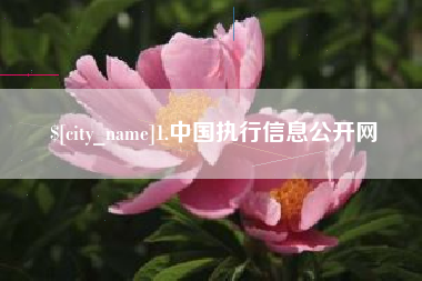 赤峰1.中国执行信息公开网