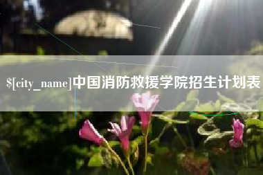 赤峰中国消防救援学院招生计划表