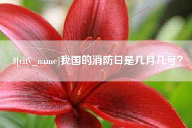 赤峰我国的消防日是几月几号？