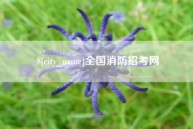 赤峰全国消防招考网