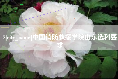 赤峰中国消防救援学院山东选科要求