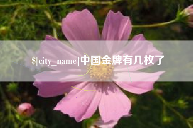 赤峰中国金牌有几枚了