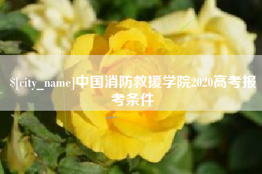 赤峰中国消防救援学院2020高考报考条件