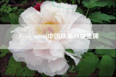 赤峰中国队第八块金牌