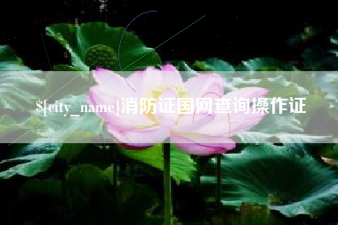 赤峰消防证国网查询操作证