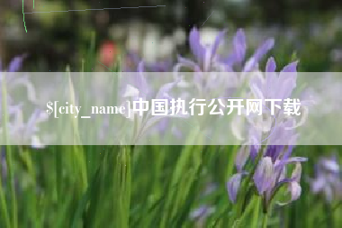 赤峰中国执行公开网下载