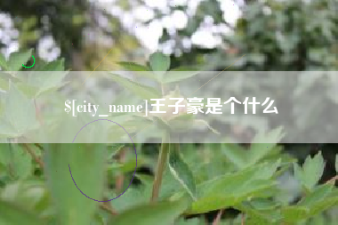 赤峰王子豪是个什么