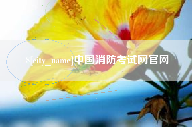 赤峰中国消防考试网官网