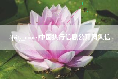 赤峰中国执行信息公开网失信
