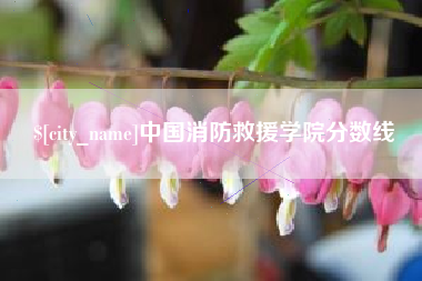 赤峰中国消防救援学院分数线