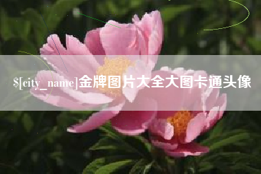 赤峰金牌图片大全大图卡通头像