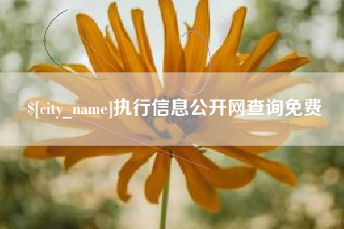 赤峰执行信息公开网查询免费