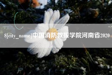赤峰中国消防救援学院河南省2020